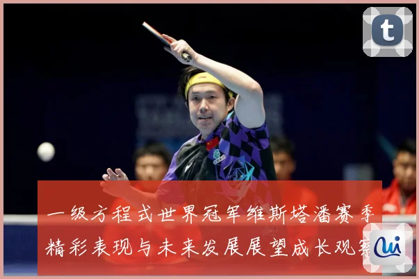 一级方程式世界冠军维斯塔潘赛季精彩表现与未来发展展望成长观察