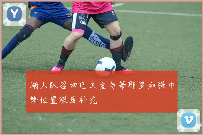 湖人队召回巴夫金与蒂耶罗加强中锋位置深度补充