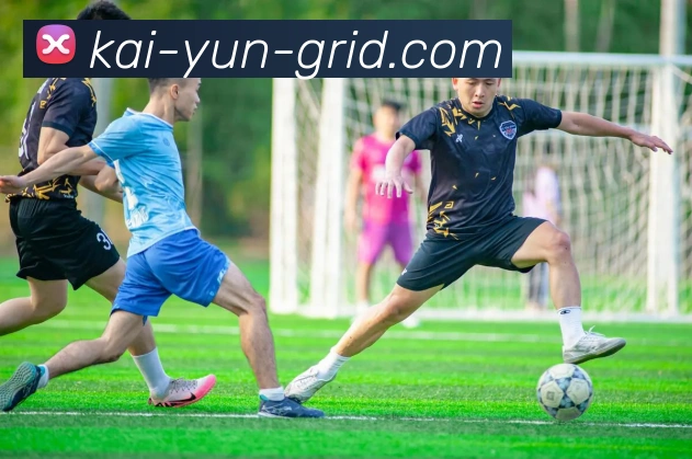 开云平台展示图